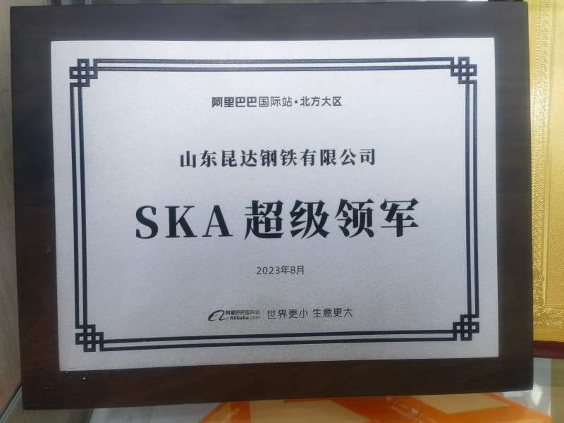 SKA超級領軍